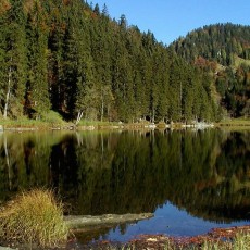 Der Taubensee