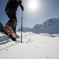 Skitourengeher, Alpe Oberpartnom
