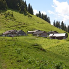 Die Türtsch Alpe bei Sonntag, ein Beispiel für den sanften Norden