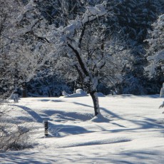 Winter im Almtal