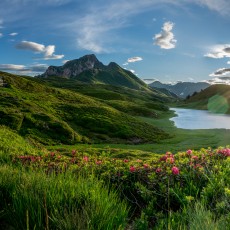 Zollnersee