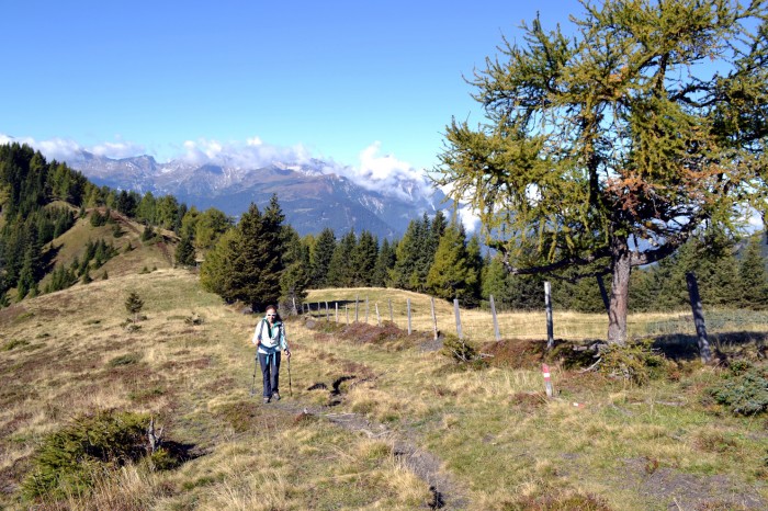 Unterwegs zum Hochgeneiner Jöchl