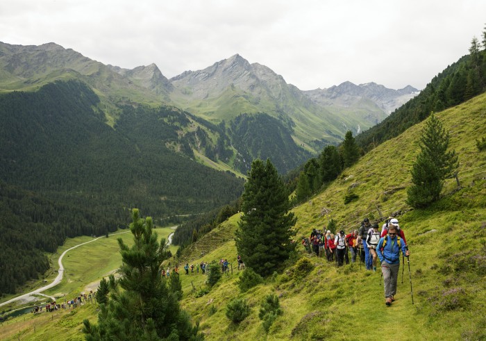Wandergruppe (viele Menschen hintereinander), die den Berg aufwärts wandert. Sellraintaler 24-Stunden-Marsch