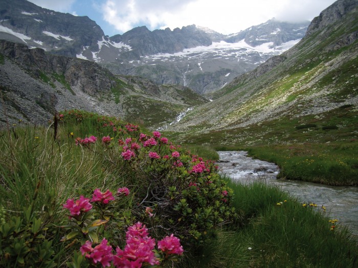 Der Hochgebirgs-Naturpark Zillertaler Alpen