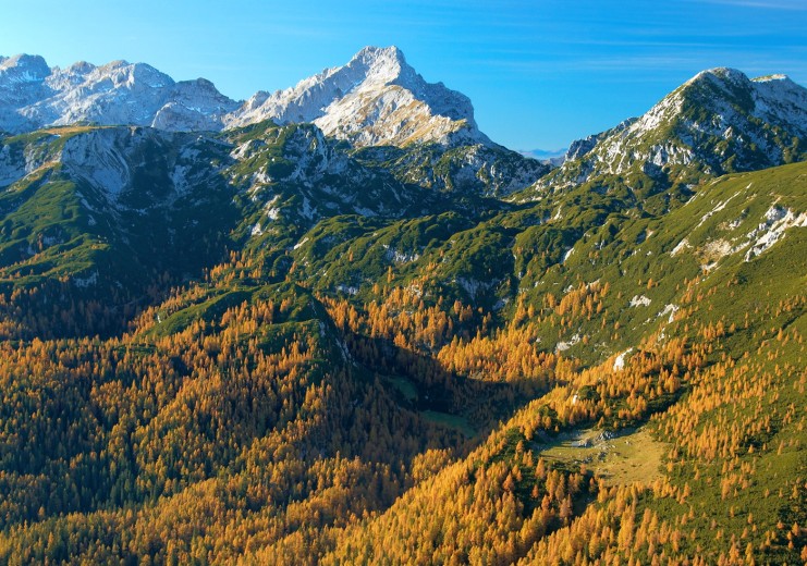 Dleskovška-Plateau (1.965 m) und Ojstrica (2.350 m)