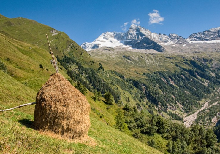 Der markante Gipfel des Olperers dominiert im Schmirntal das Panorama