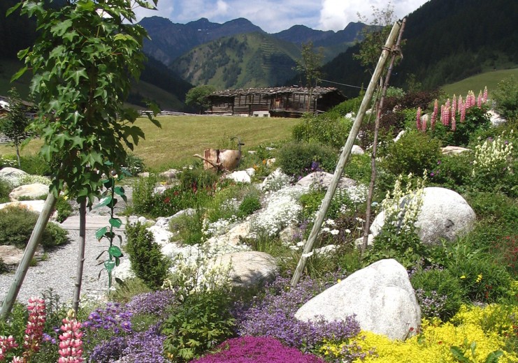 Alpenkräutergarten