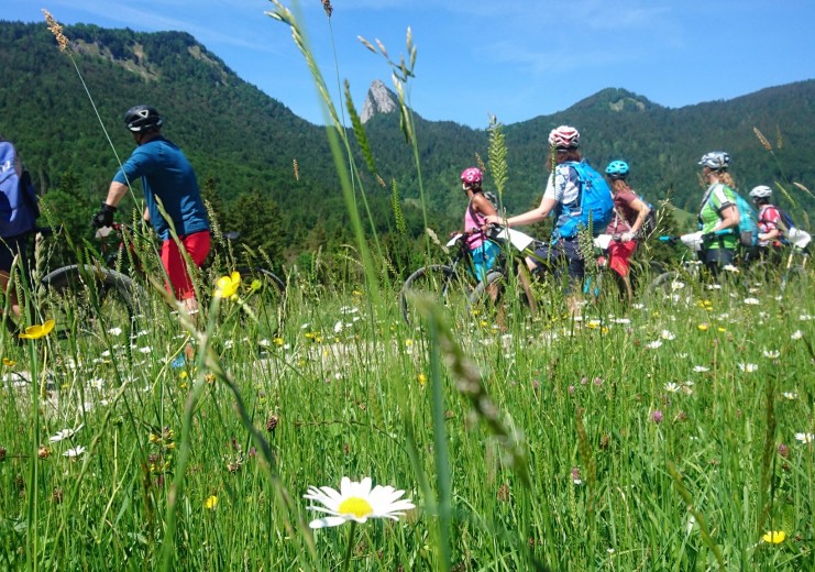 Mountainbike und Natur rund um Kreuth