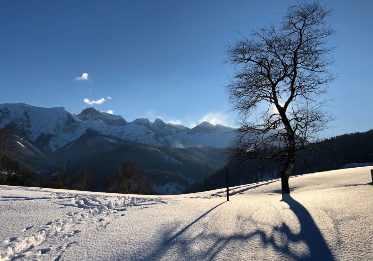 Winterlandschaft am Birkenbichl