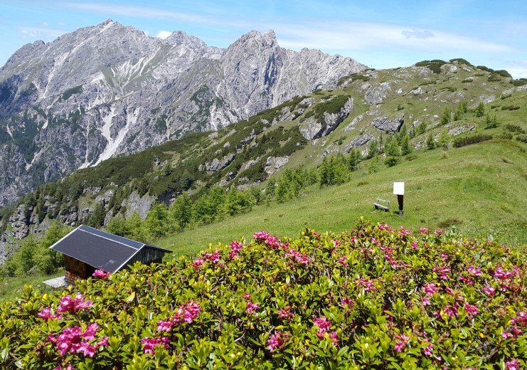 Blick vom Westgrat des Riebenkofels Richtung Soleck und Lienzer Dolomiten