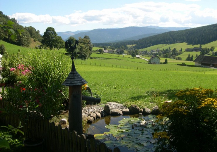 Blick vom Garten des Haus Bogensperger