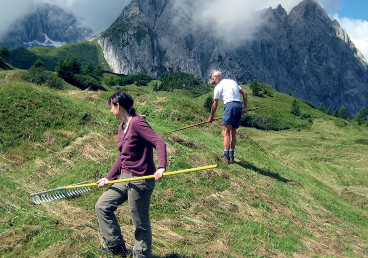 Heuernte auf der Mauthner Alm