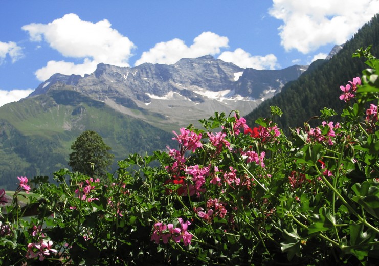 Blick vom Balkon auf die Zillertaler Alpen