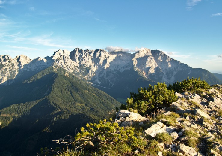 Auf dem Gipfel des Pristovški Storžič / Kärntner Storschitz