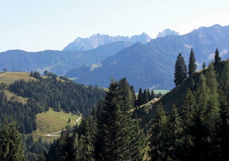 Blick auf den Wilden Kaiser