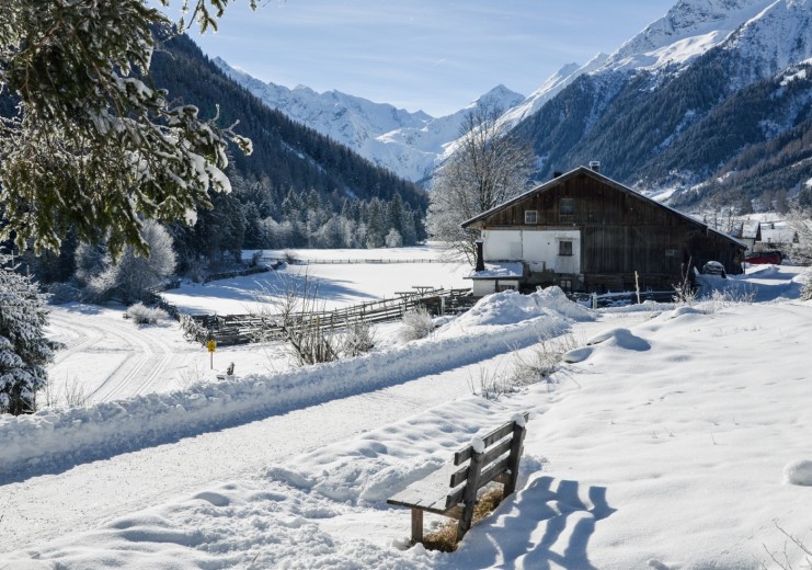 Winterwandern im Gschnitztal